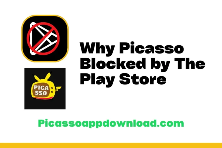 Why Picasso Blocked by The Play Store